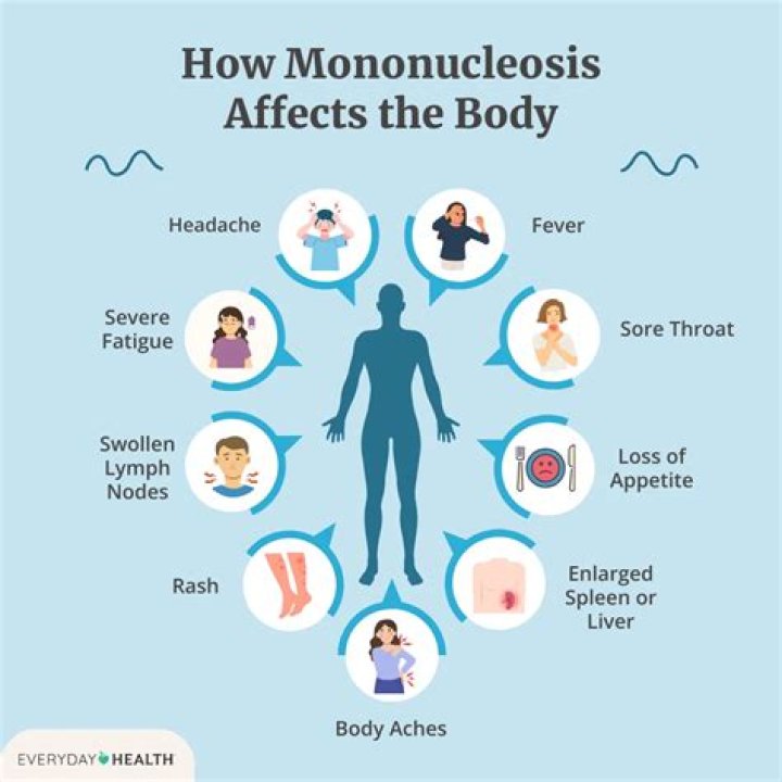 Does mononucleosis affect the liver