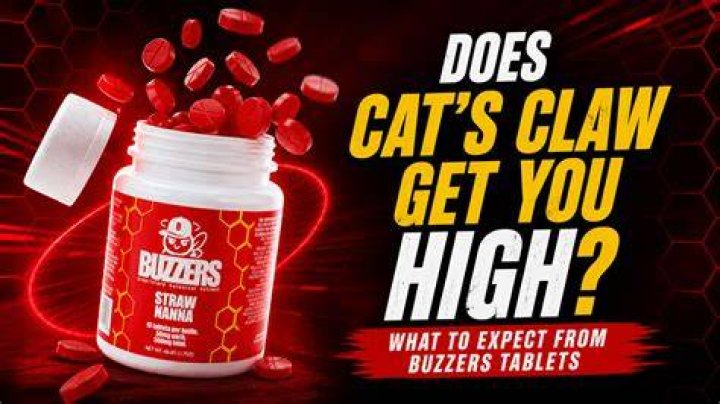 Does procaine get you high