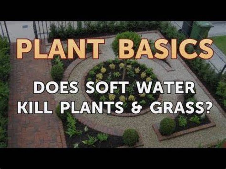 Does softened water hurt outdoor plants