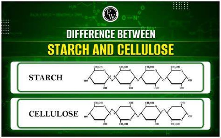 Does starch have cellulose