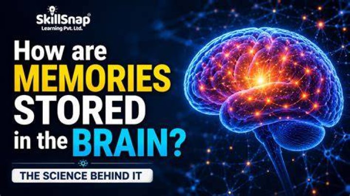 How are memories stored in the brain on a molecular level