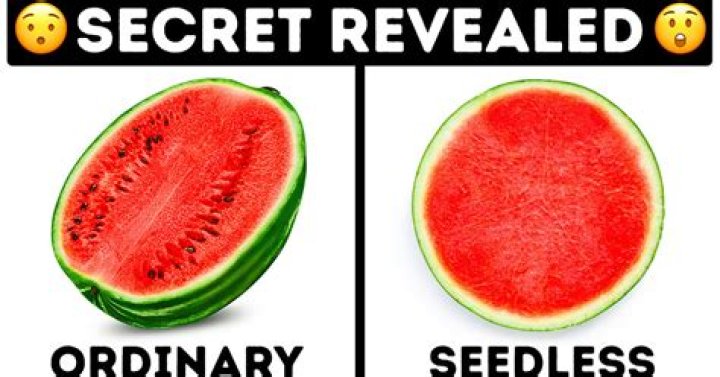 How are seedless fruits grown