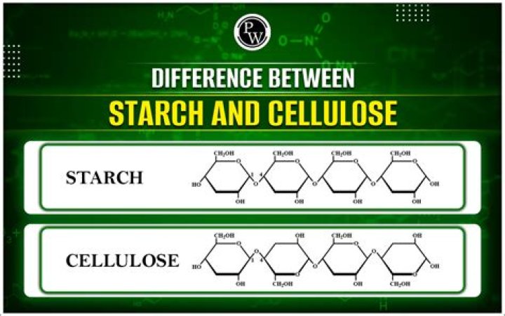 How are starch and cellulose similar and different