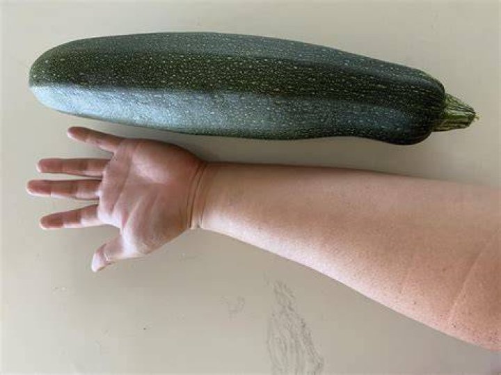How big is too big for zucchini