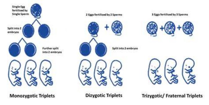 How can I have twins or triplets