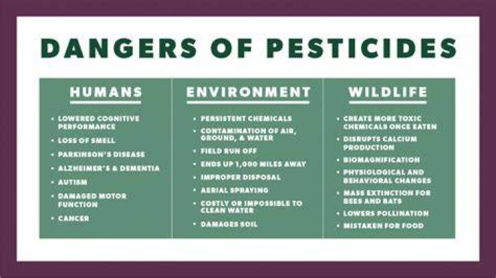 How can you make pesticides less harmful