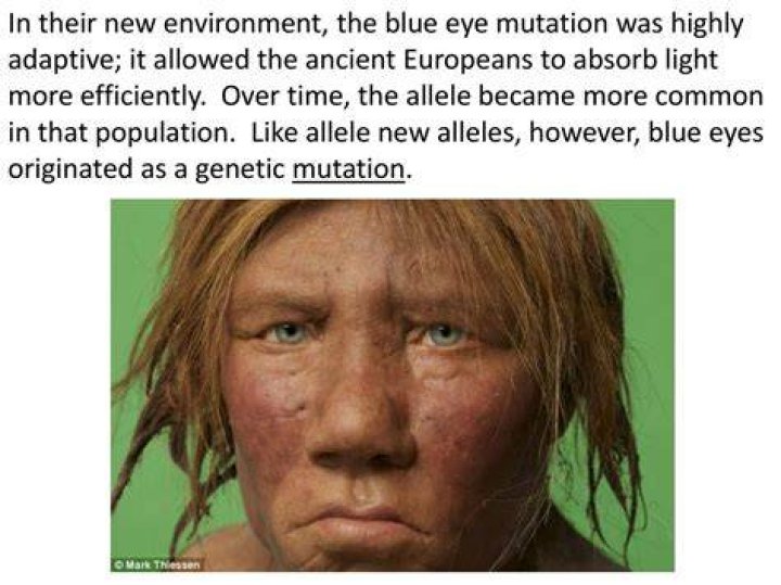 How did blue eyes start