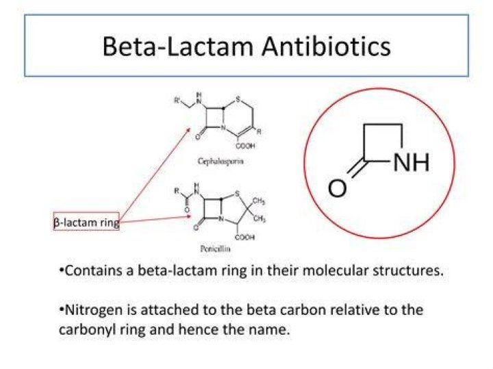 How do beta lactamases degrade beta lactams