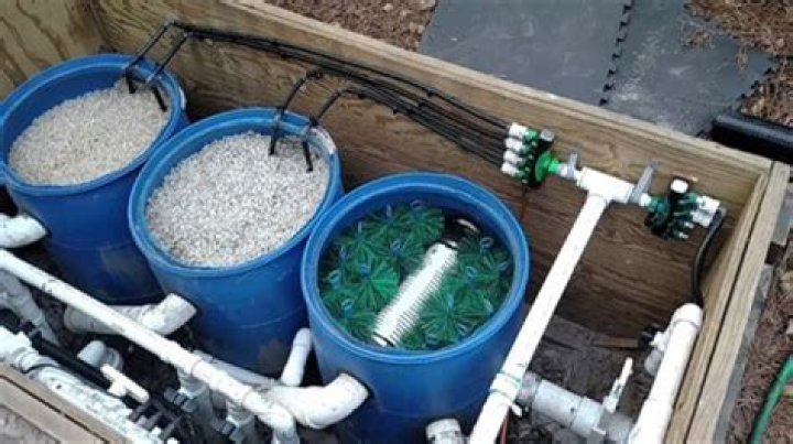 How do fish pond filters work