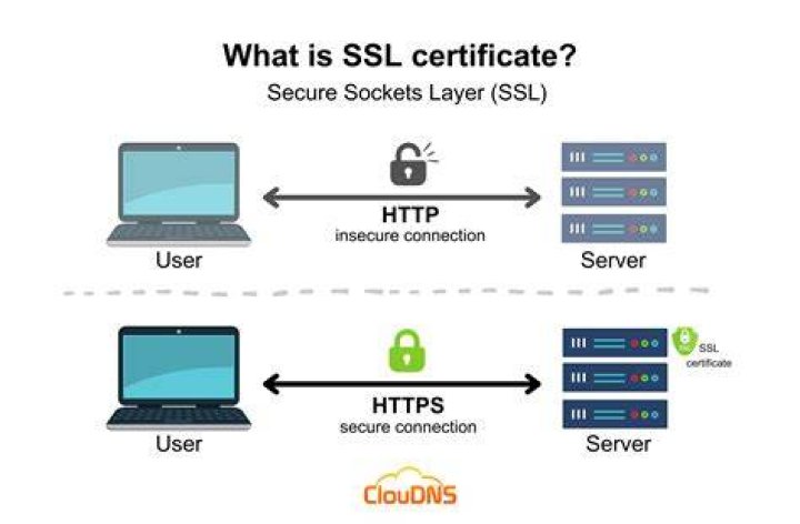 How do I find the SSL certificate of a website