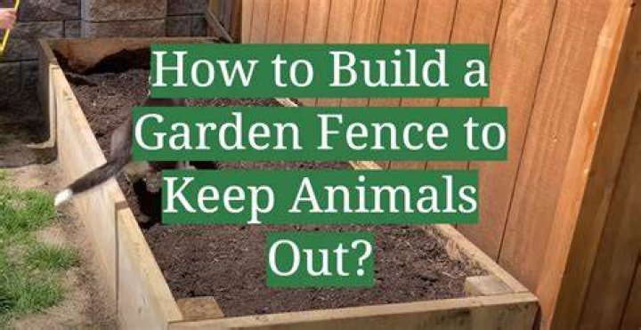 How do I keep animals out of my BBQ