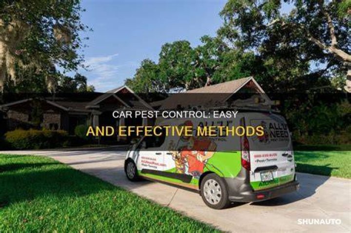 How do I pest control my car