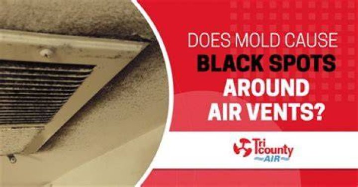 How do I report black mold in my apartment