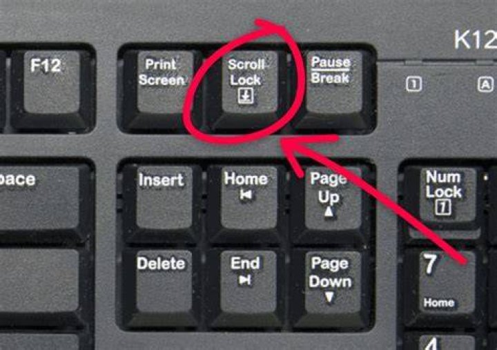 How do I scroll in DOS