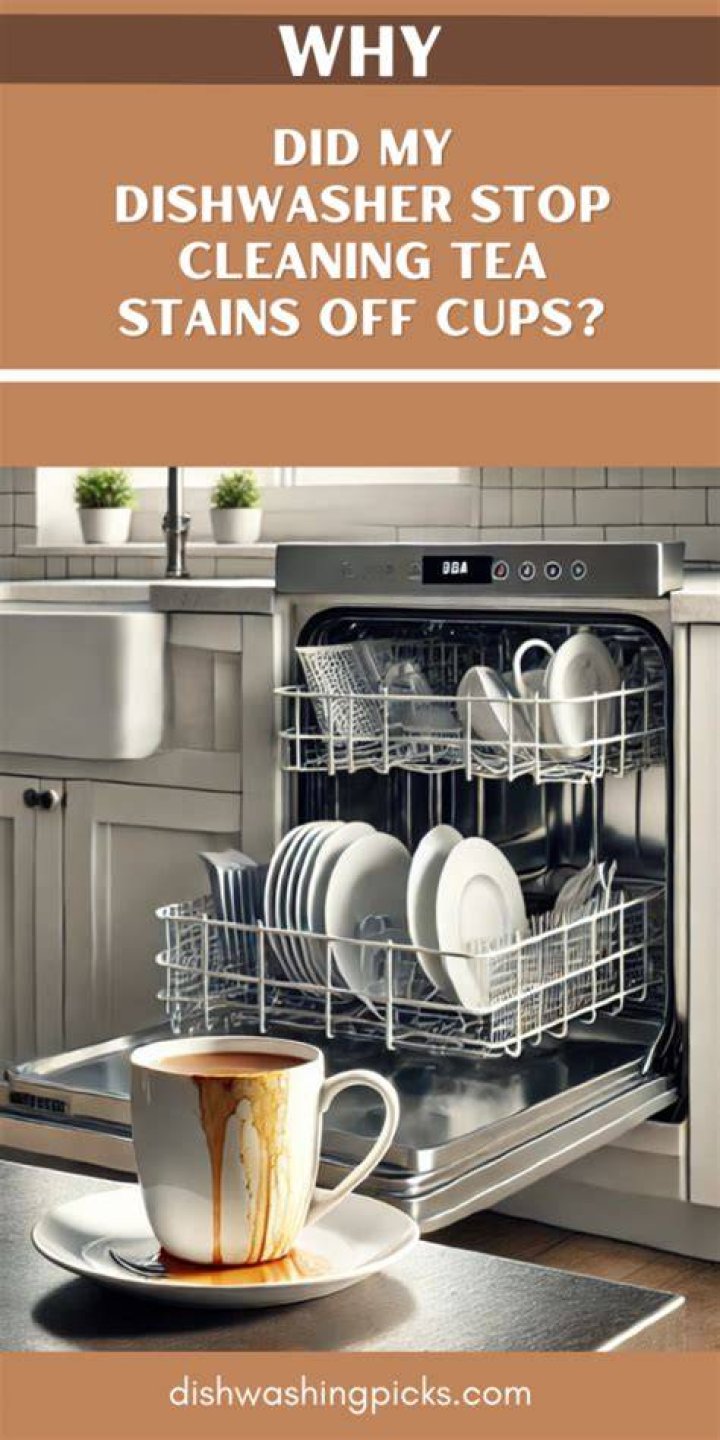 How do I stop my dishwasher from molding