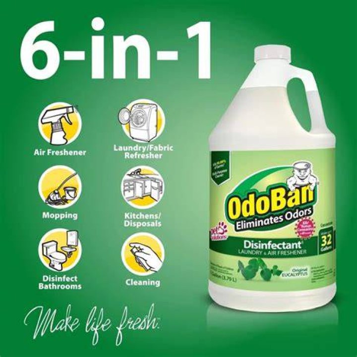 How do I use OdoBan on my couch