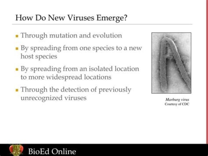 How do new viruses emerge