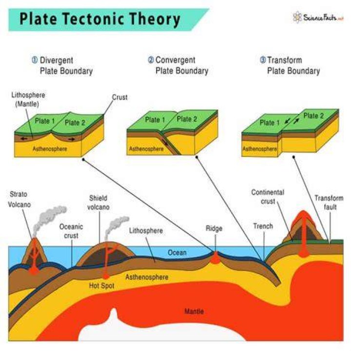 How do we study plate tectonics