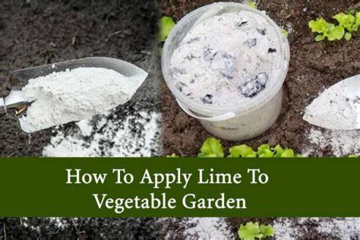 How do you add lime to garden soil