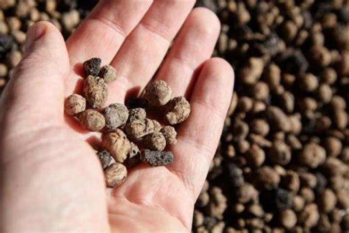 How do you clean expanded clay pellets
