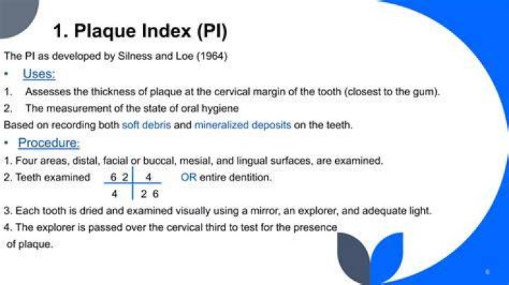 How do you compute for plaque index per tooth