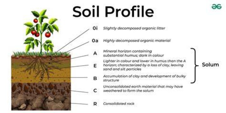 How do you describe a soil profile
