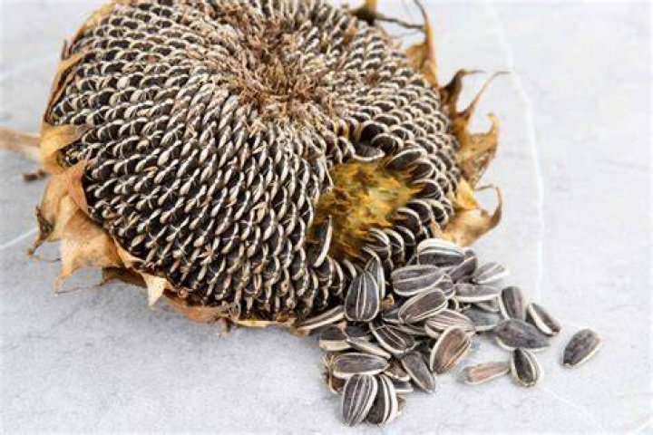 How do you easily shell sunflower seeds