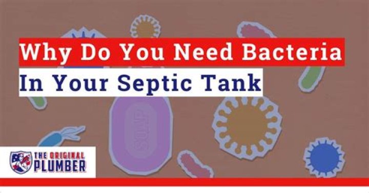 How do you get bacteria in your septic tank