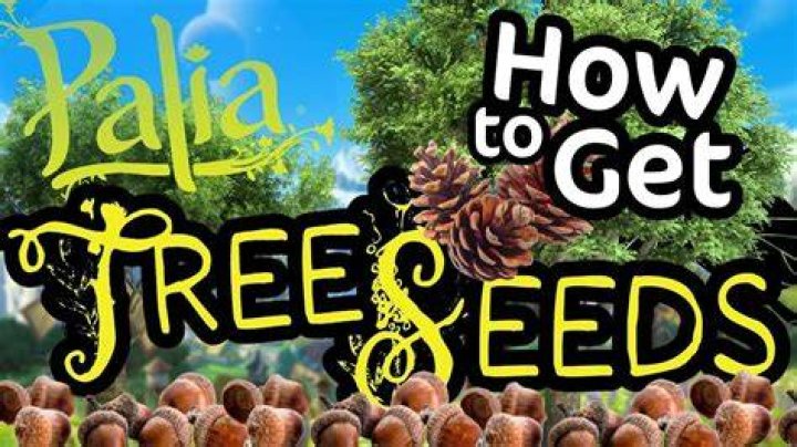 How do you get tree seeds