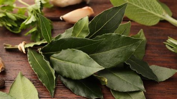 How do you keep bay leaves fresh