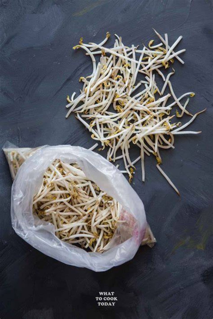 How do you keep mung bean sprouts fresh