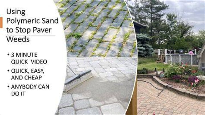 How do you keep weeds from growing in concrete