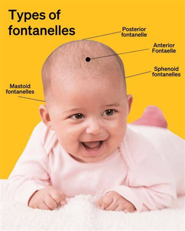 How do you know if your fontanelle is closed