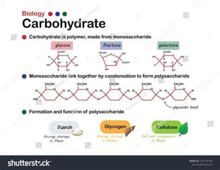 How do you make a carbohydrate molecule