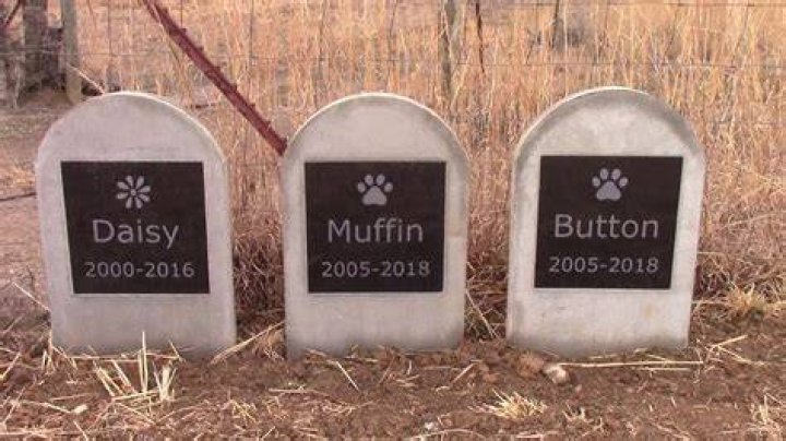 How do you make a dog grave marker