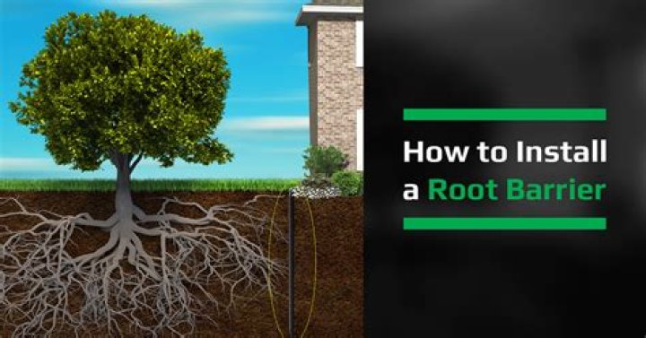 How do you make a root barrier