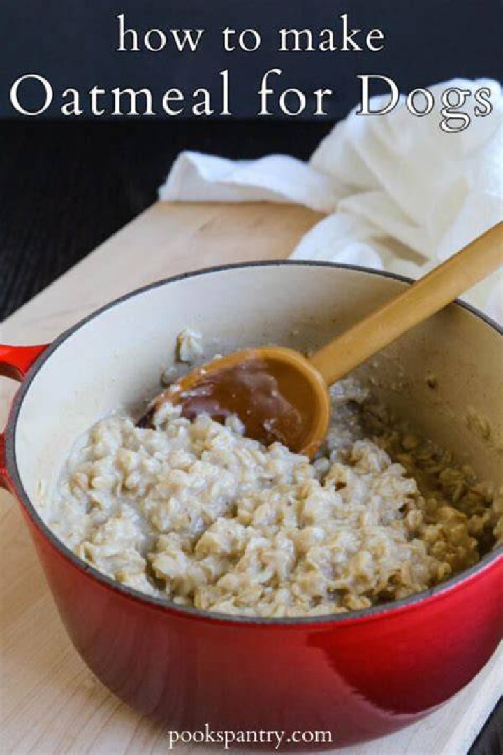 How do you make oatmeal for dogs
