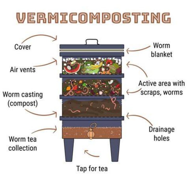 How do you make worm compost tea