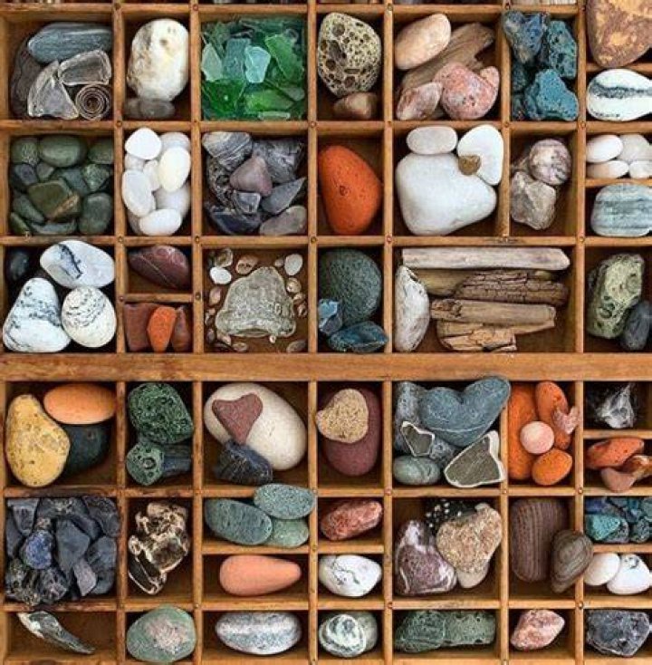 How do you organize rock collection