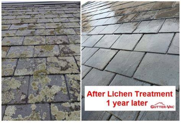 How do you remove white lichen from paving