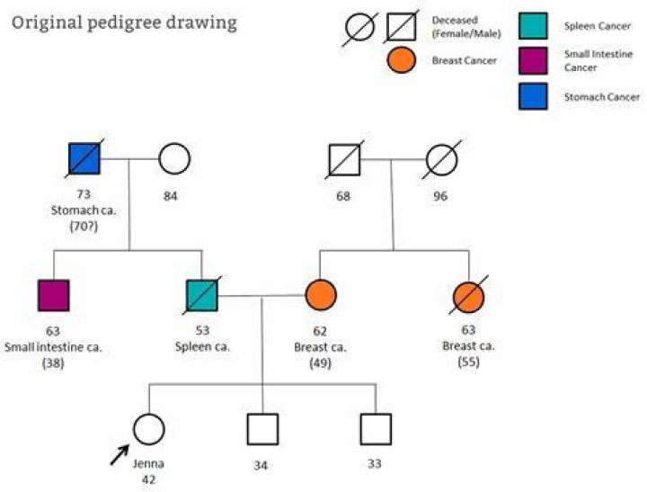 How do you show a dead person on a pedigree