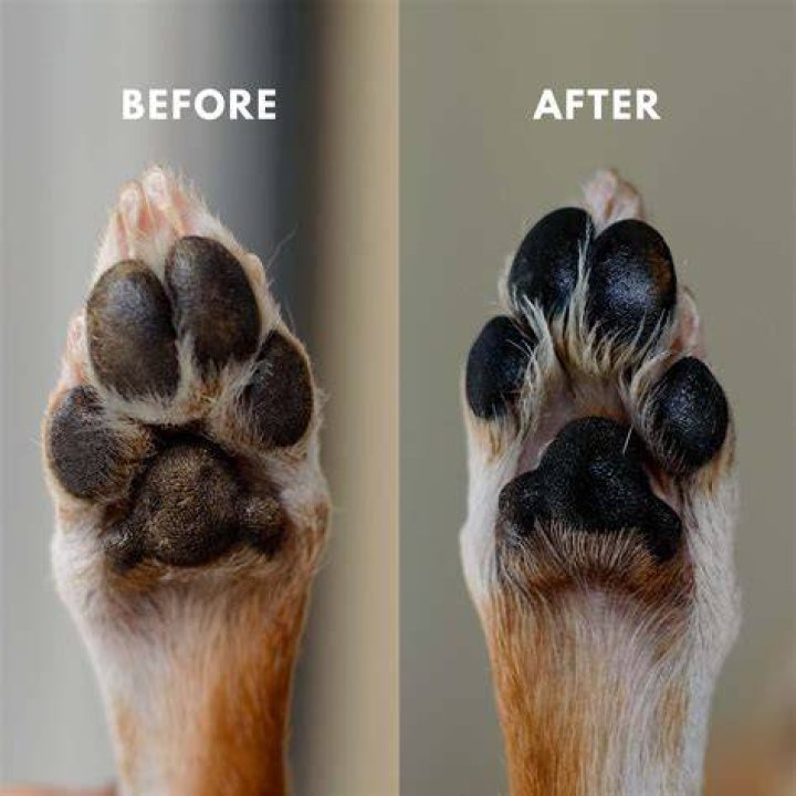 How do you treat a dog with hyperkeratosis paws
