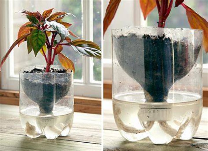 How do you upcycle a water bottle