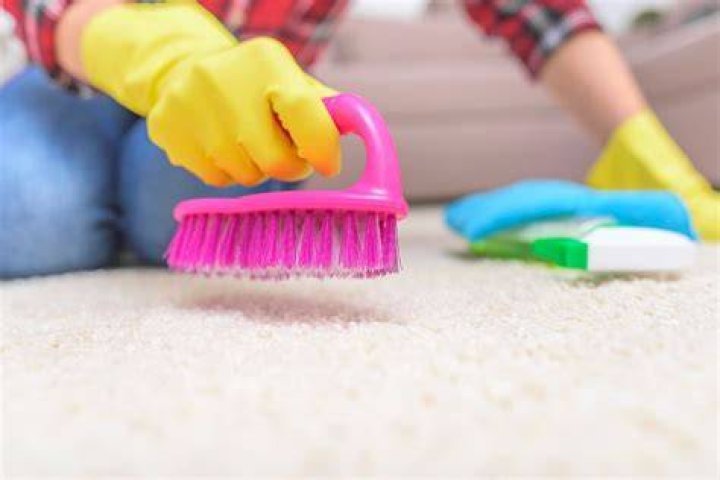 How do you use a carpet brush