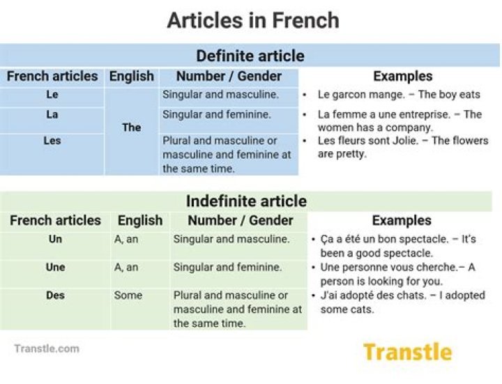 How do you use articles in French