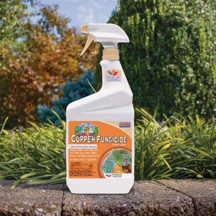 How do you use bonide copper fungicide