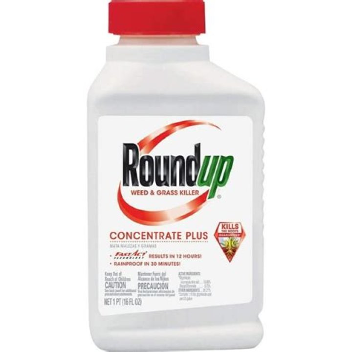 How do you use Roundup concentrate plus