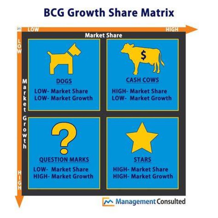How do you use the BCG matrix