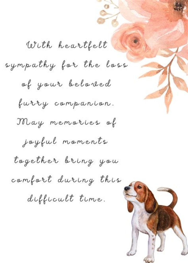 How do you write a sympathy note for loss of a pet