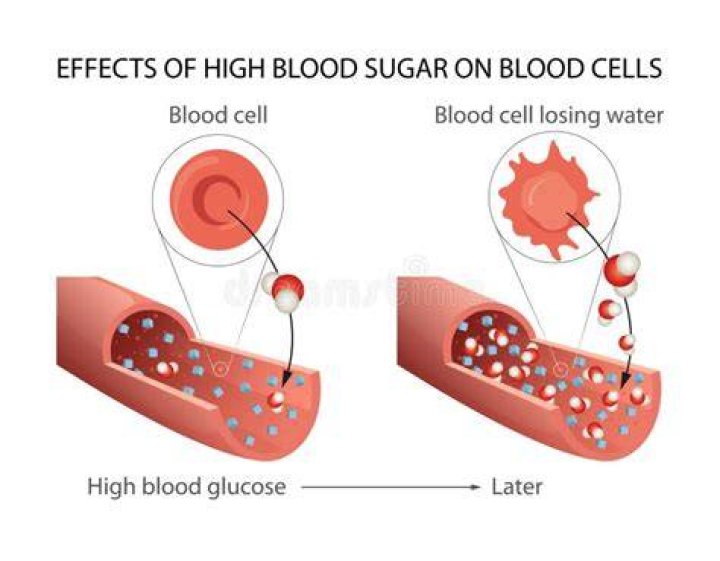 How does high blood sugar damage cells